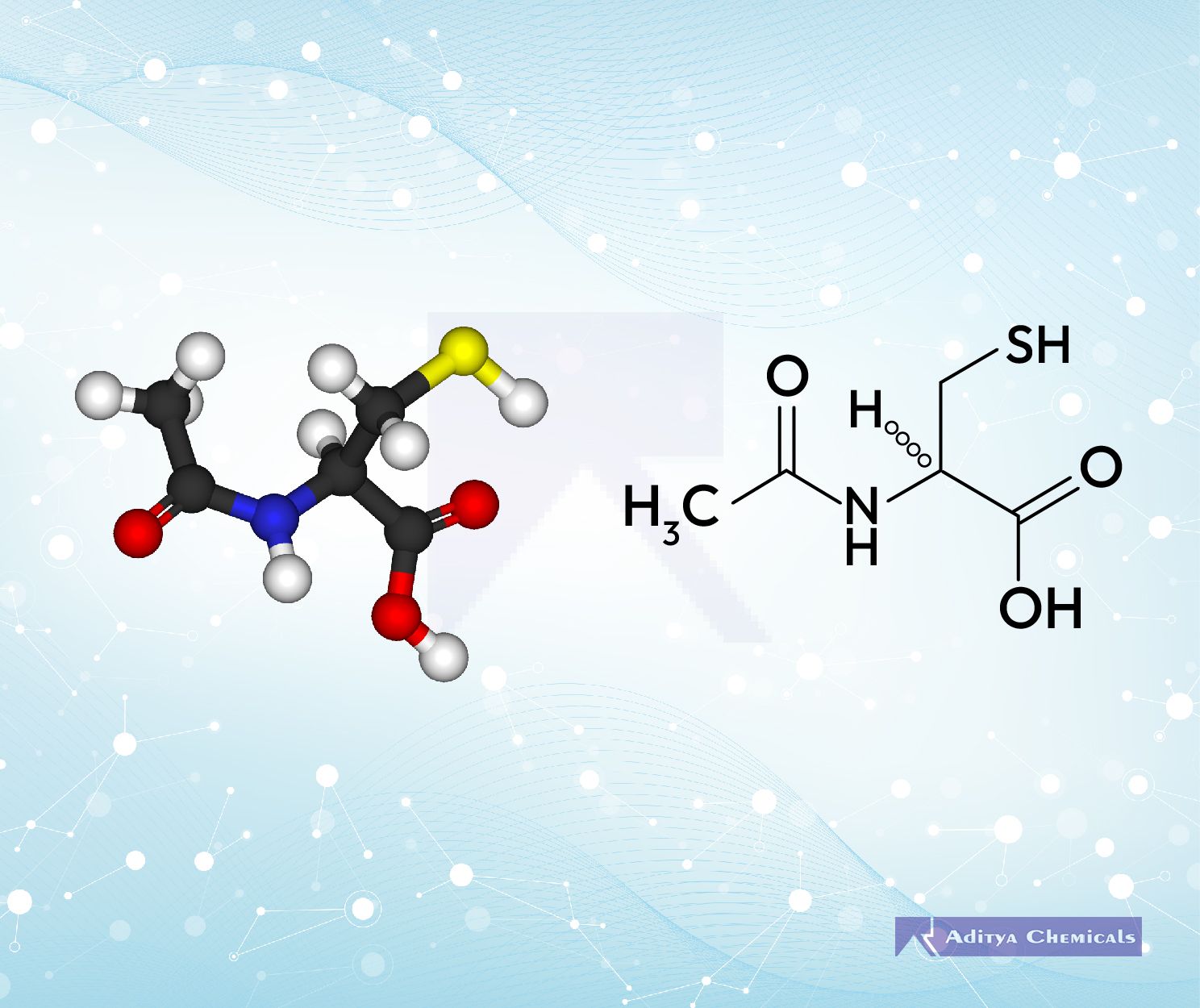 L Carnitine Fumarate IH
