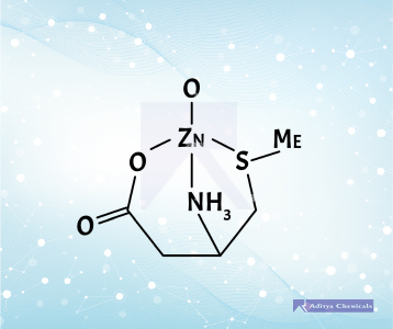 Zinc Monomethionine